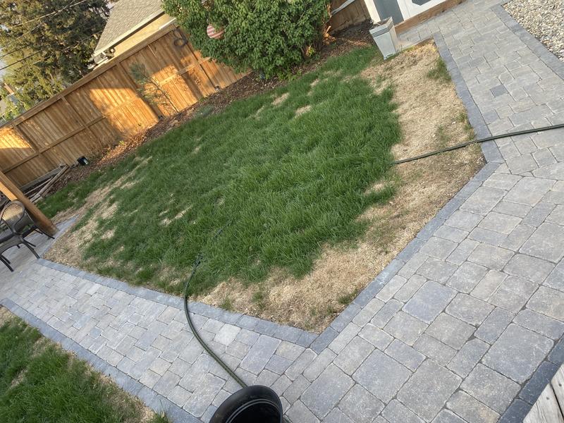 Photo - commentaire&nbsp;8.