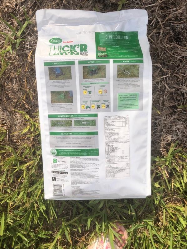 Scotts Turf Builder Southern Gold 16-lb Tall Fescue Grass Seed 18030 at ...
