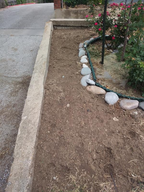 No grass