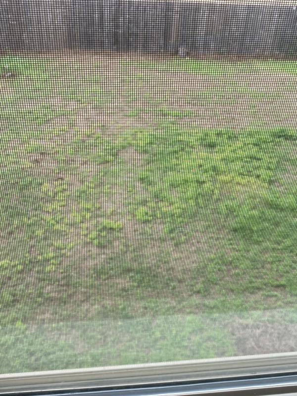 Photo - commentaire&nbsp;6.