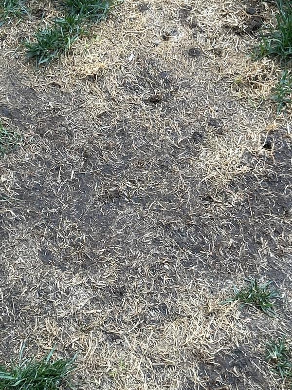 Photo - commentaire 1.