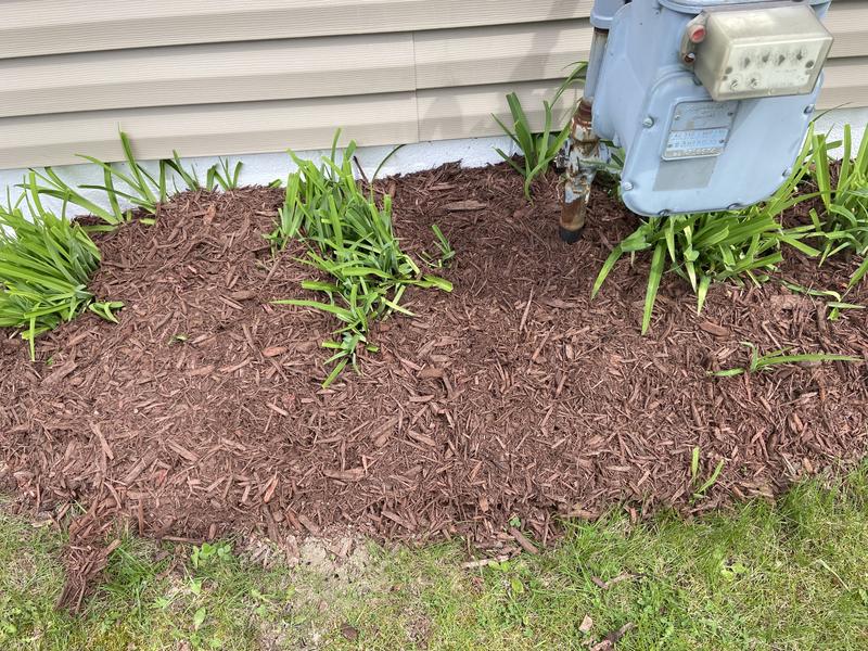 Earthgro mulch hotsell