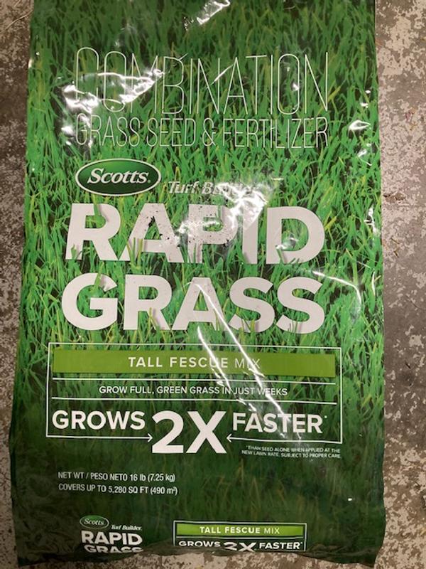 Tall deals fescue scotts