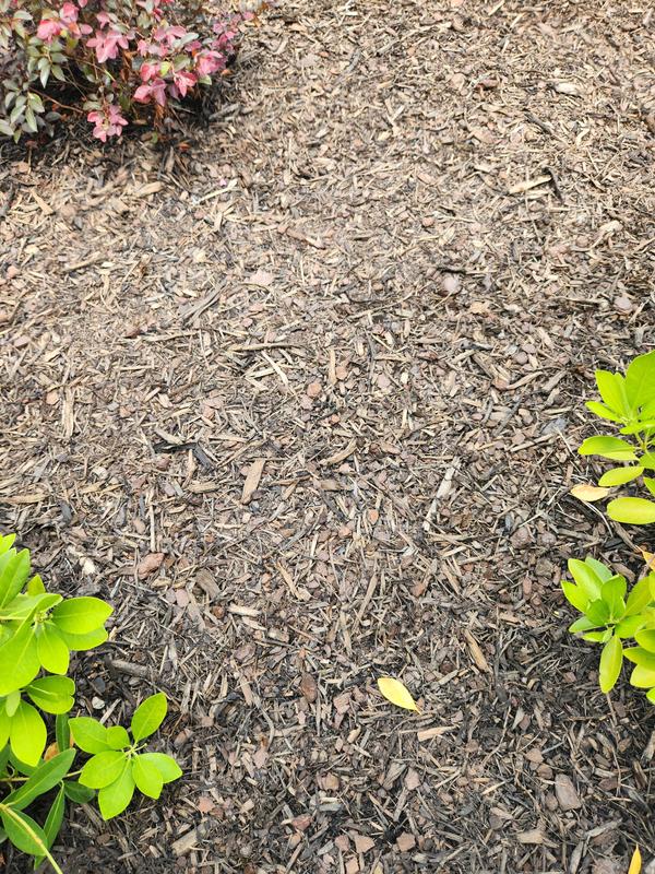 Stinky mulch