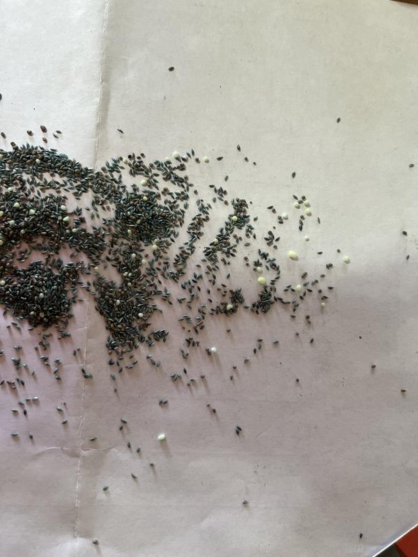 Seed, fertilizer, and clay