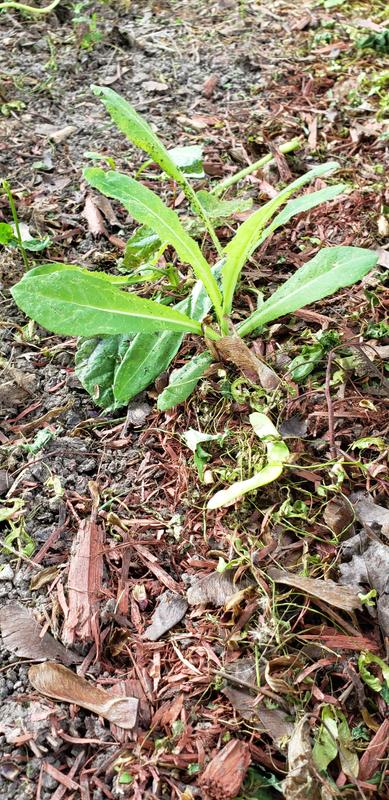 Photo - commentaire&nbsp;8.