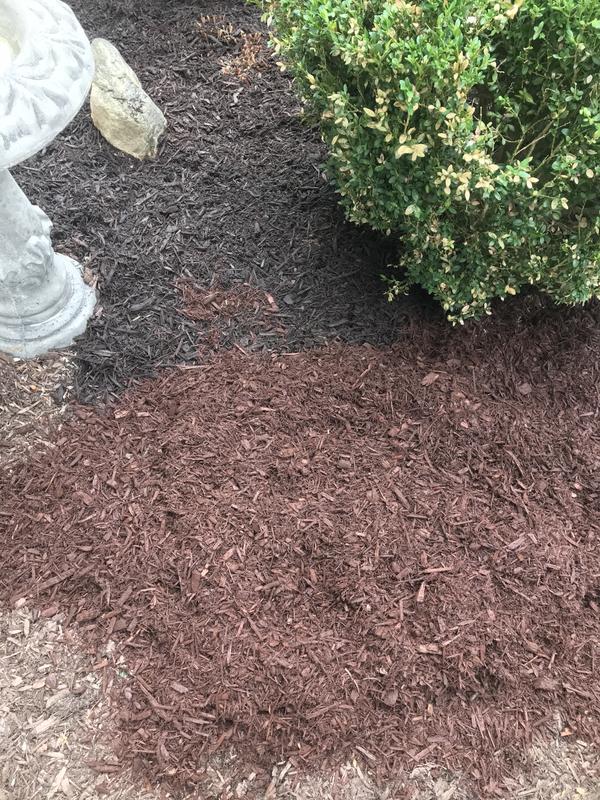 Meijer Garden Center Mulch Fasci Garden