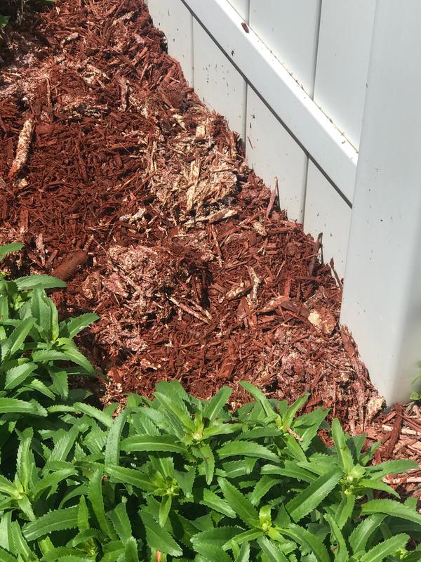 Why Not to Use Dyed Mulch - Naturescapes