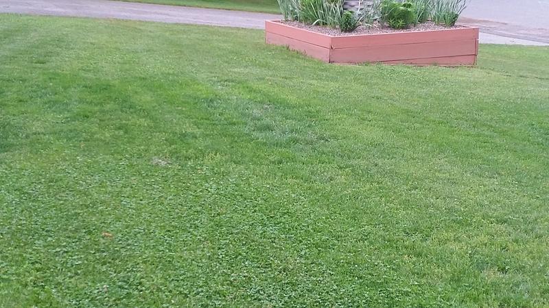 Scotts 40 Lb 4 000 Sq Ft 9 1 1 Lawn Fertilizer In The Lawn Fertilizer Department At Lowes Com