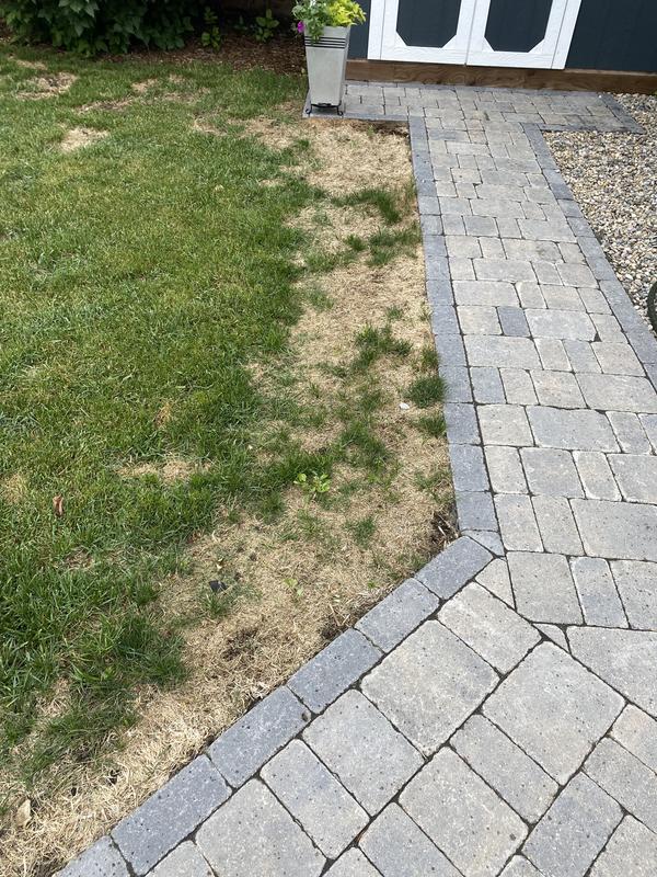 Photo - commentaire&nbsp;7.