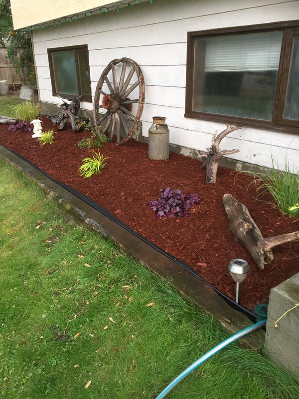 Why Not to Use Dyed Mulch - Naturescapes