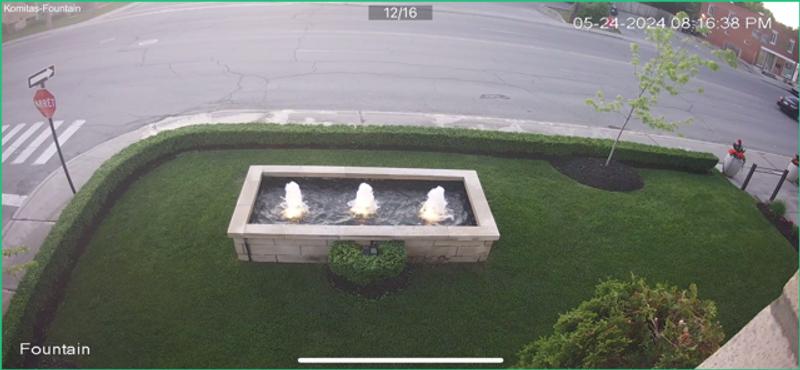 NO WEEDS! 2weeks later i also applied Scotts turf builder green max lawn food. Incredible beauty.