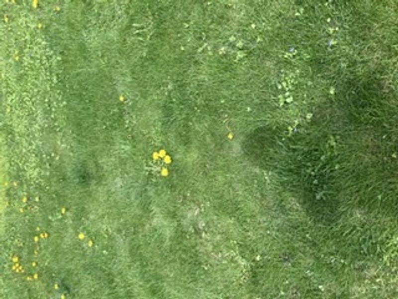 Photo - commentaire&nbsp;2.