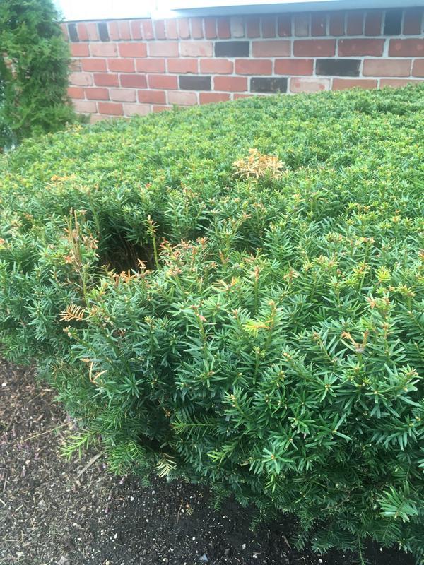 Photo - commentaire&nbsp;1.