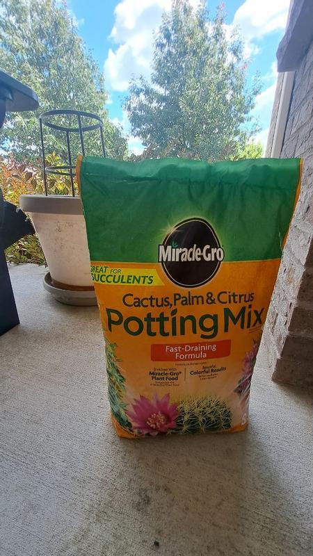 Miracle-Gro Indoor Potting Mix for Cactus & Succulent, 8 QT - 73078430 |  Blain's Farm & Fleet