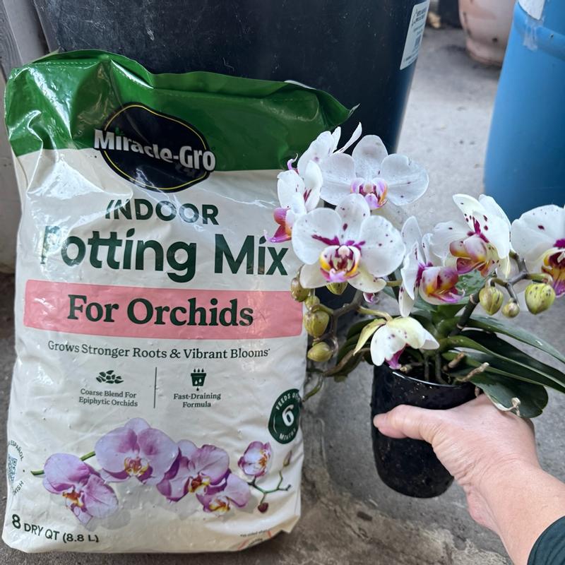 Miracle-Gro 8 Quart Orchid Coarse Blend Potting Mix - 74778300