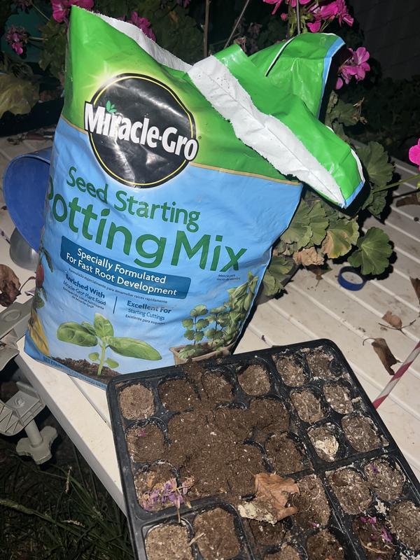 Photo - commentaire&nbsp;6.