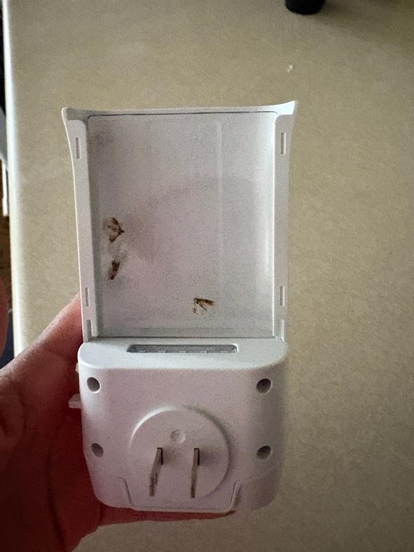 Review photo 3.