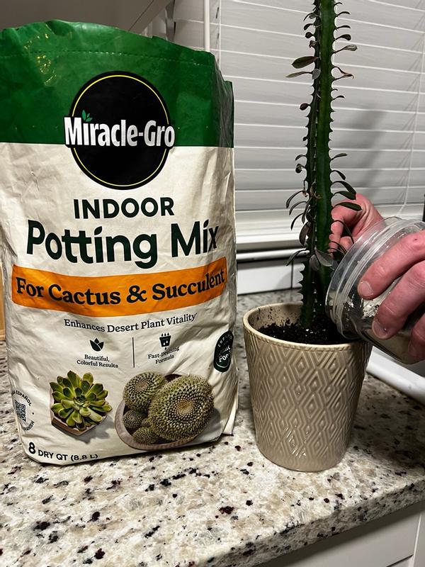 Miracle-Gro Cactus, Palm & Citrus Potting Mix | ScottsMiracle-Gro US