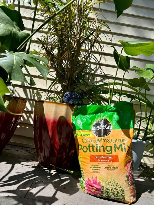 Miracle-Gro Indoor Potting Mix for Cactus & Succulent, 8 QT - 73078430 |  Blain's Farm & Fleet