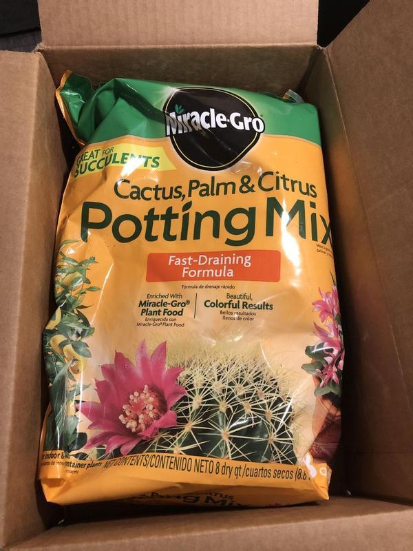expiration date on tomato seeds for planting Homestead Tomato Seeds for Planting