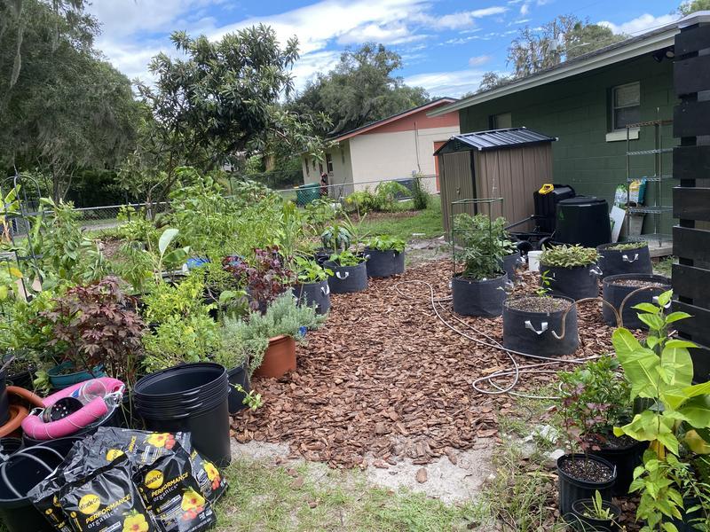 Everything loves this soil