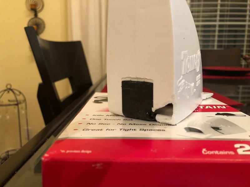 Tomcat® Kill & Contain Mouse Trap | ScottsMiracle-Gro US