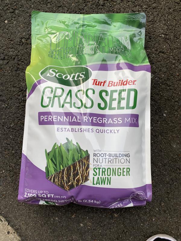 Scotts Turf Builder 3-lb Perennial Ryegrass Grass Seed at Lowes.com