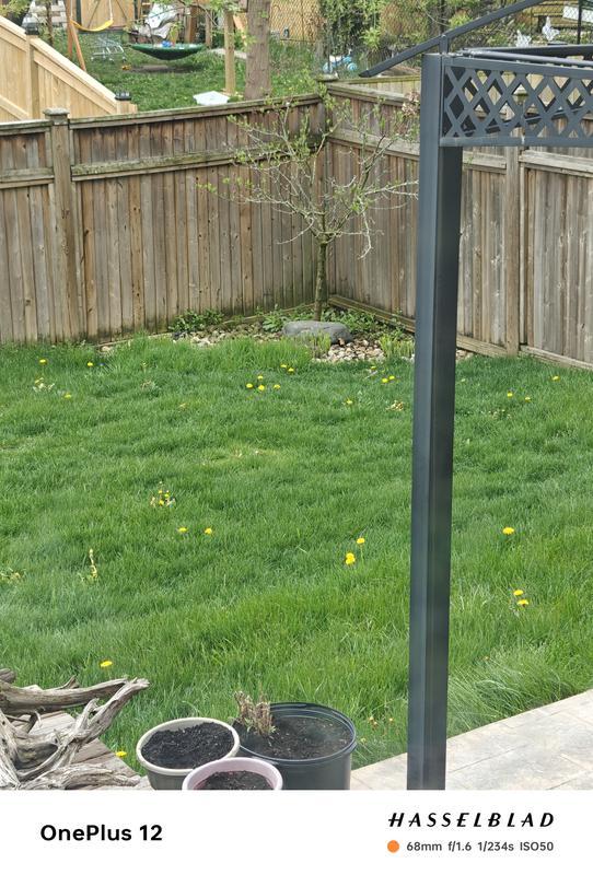 Photo - commentaire&nbsp;8.