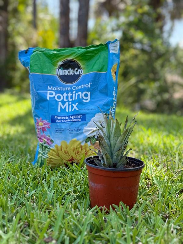 Reviews for Miracle-Gro Moisture Control Potting Mix Soil and Water Soluble  All Purpose Plant Food | Pg 3 - The Home Depot