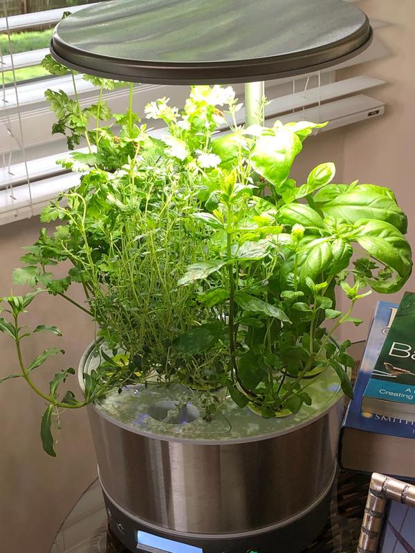AeroGarden Harvest Elite 360, White Stainless | ScottsMiracle-Gro US