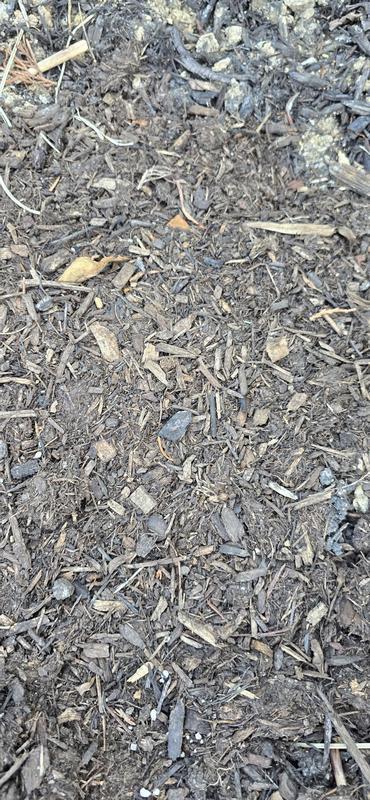 A few days later: mulch, confusion, and the haunting realization that my plants deserve better.