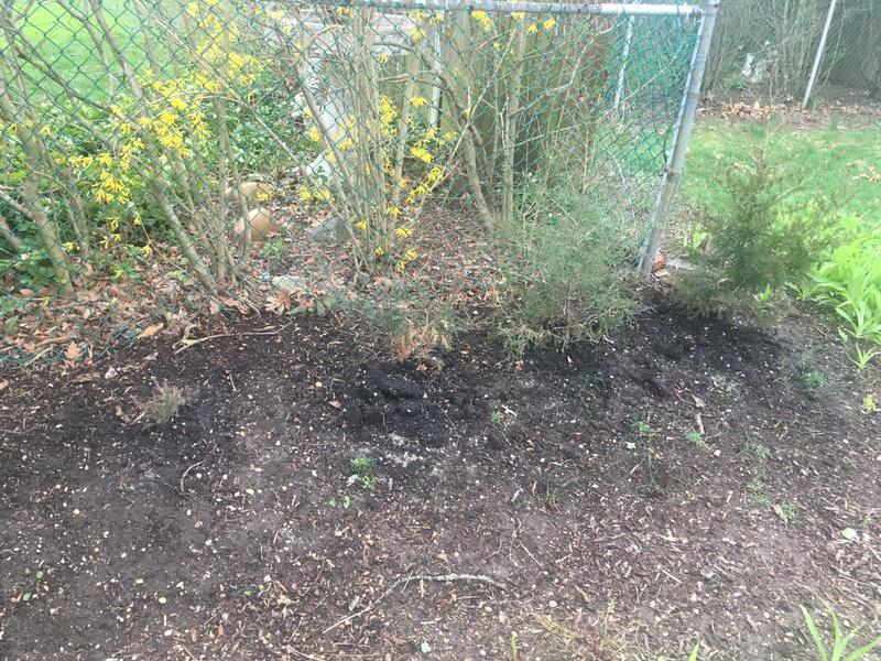 Photo - commentaire&nbsp;4.