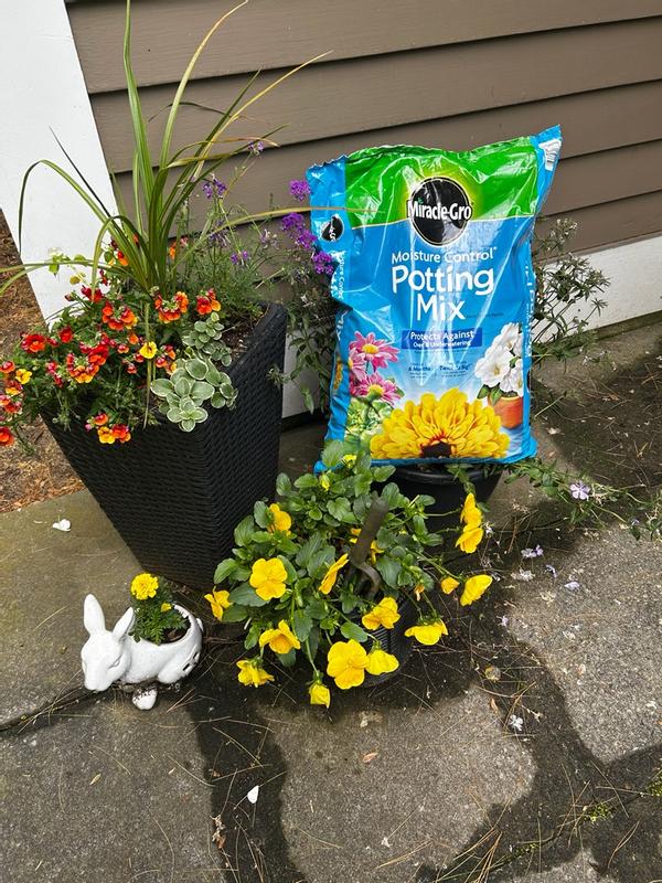 Miracle-Gro Moisture Control Potting Mix | ScottsMiracle-Gro US