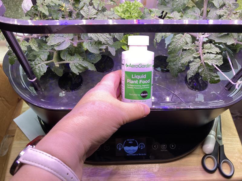 My tomato plants and parsley. So many buds and flowers in the tomatoes!! We have two models of Aerogardens and we use them all the time with Aerogarden liquid plant only! Perfect 😊