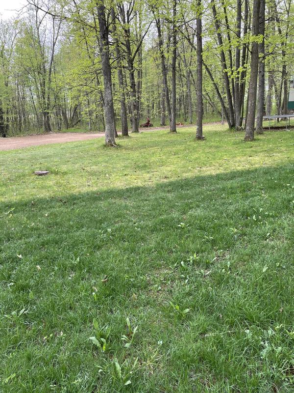 3 weeks after application