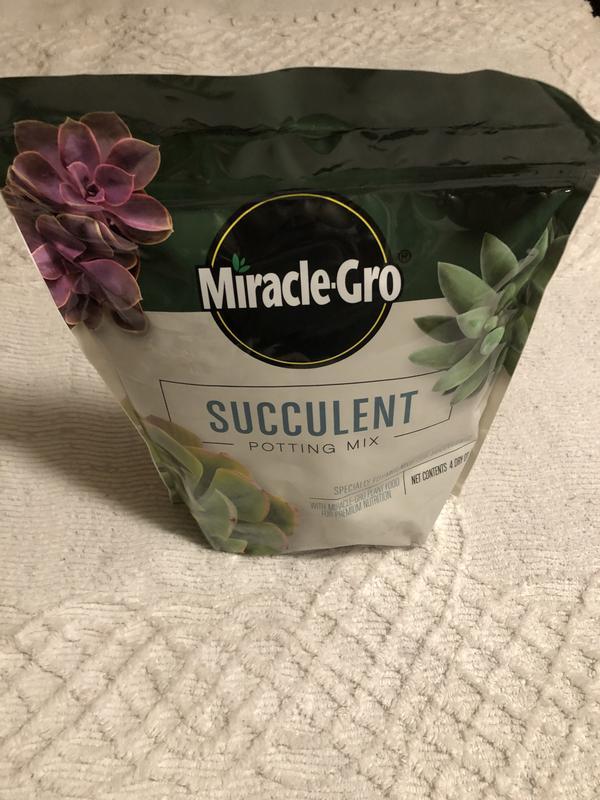 Miracle-Gro Indoor Potting Mix for Cactus & Succulent, 8 QT - 73078430 |  Blain's Farm & Fleet