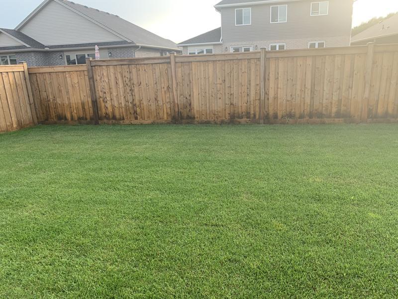 Photo - commentaire&nbsp;3.