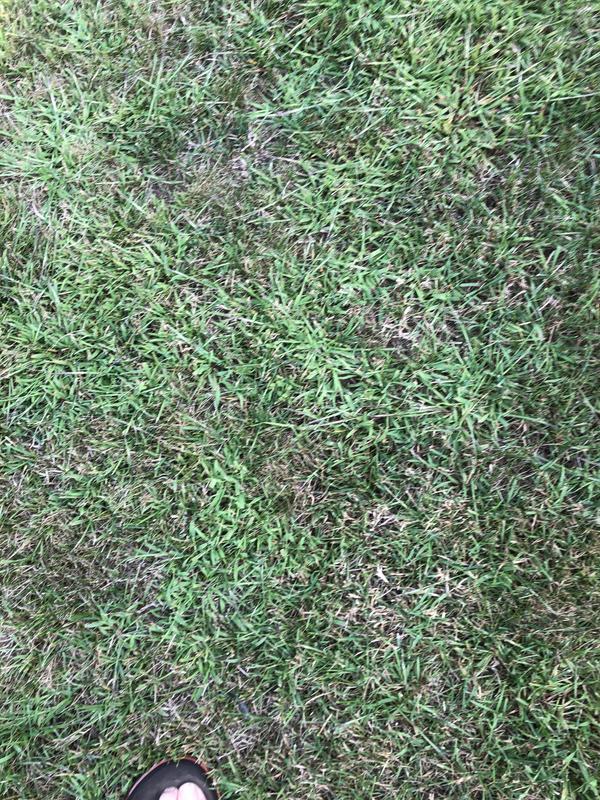 Front and side of house