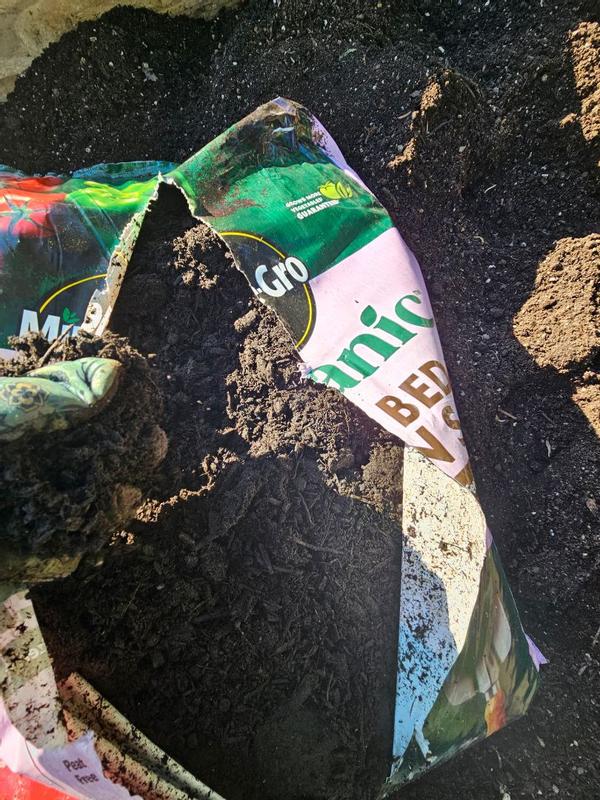 Review photo 6.
