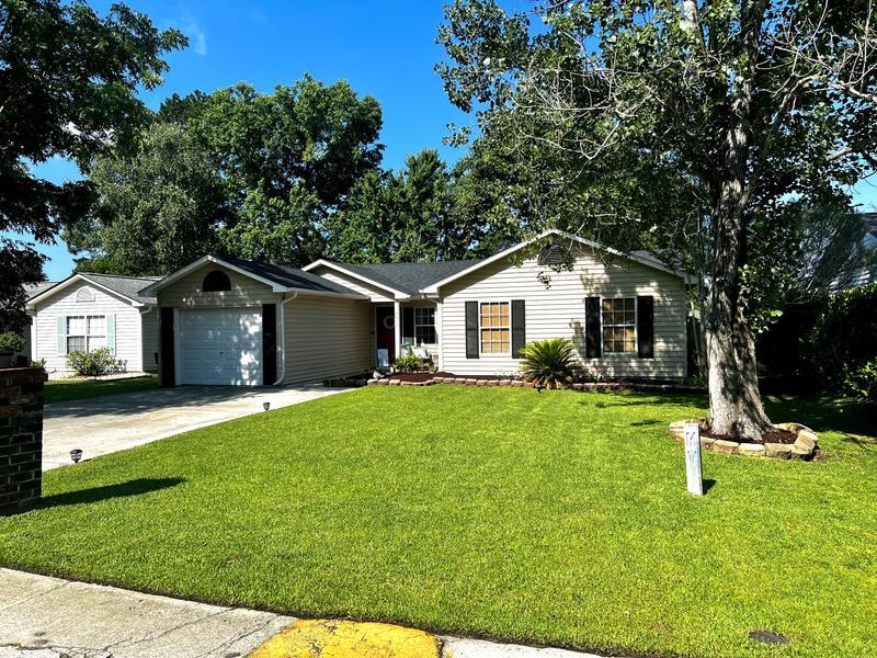 Mid April still no fertilizer added. Watered 2x Weekly (Coastal South Carolina)