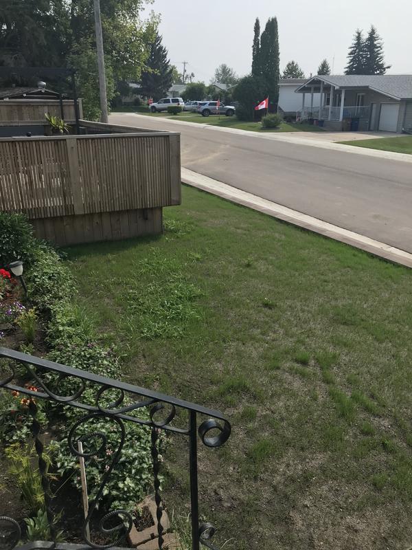 Photo - commentaire&nbsp;6.