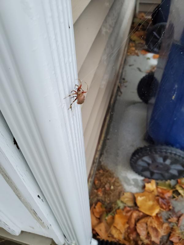 it started panicking and making its way back to it hideout in my trash can