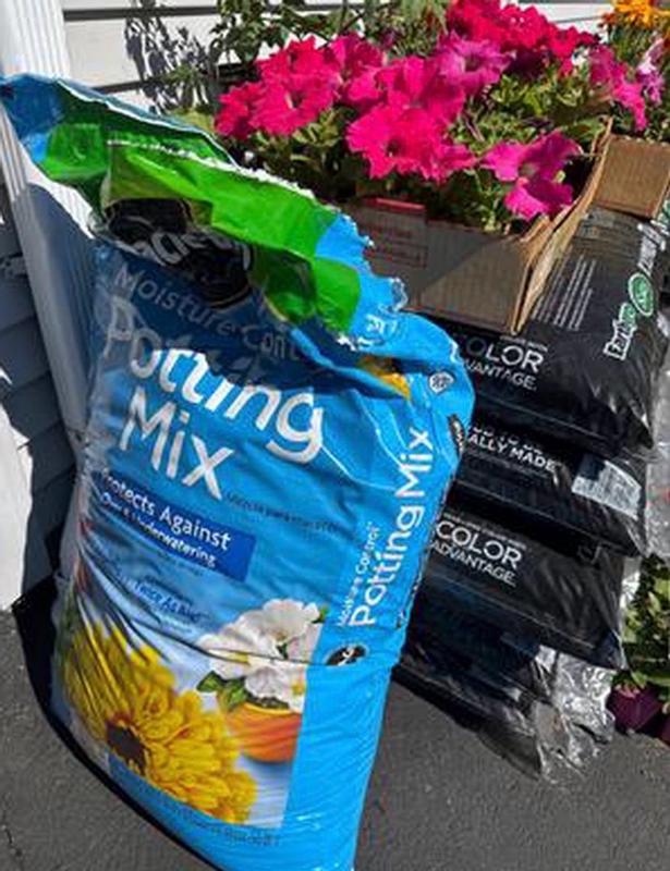 Miracle-Gro Moisture Control Potting Mix Soil 16 qt. For Container Plants,  Protects Against Over- and Under-Watering 75586300 - The Home Depot