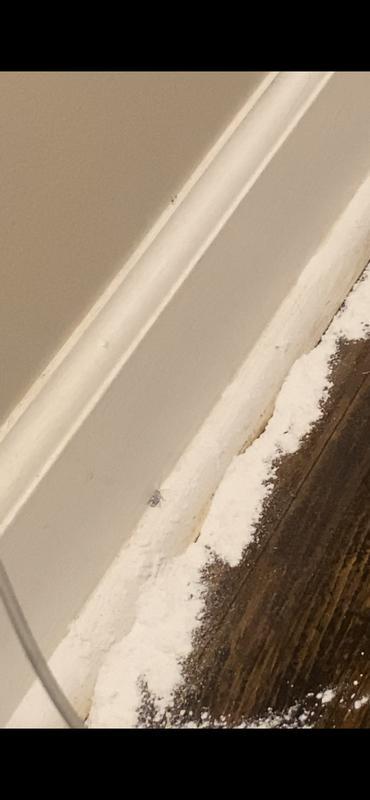 Roach walked right thru it like nothing and I bought 4cans of this stuff …. Do not buy …