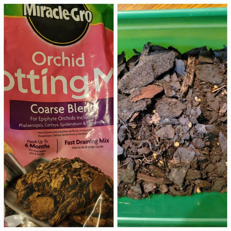 Orchid Potting Mix