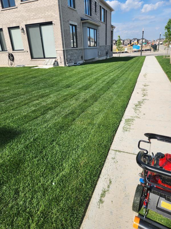 Photo - commentaire&nbsp;3.