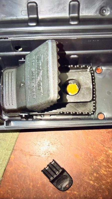 TOMCAT Tunnel Trapping System for Mice and Rats 1 Tunnel Station and 2 ...