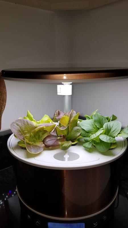 AeroGarden Harvest Elite 360, White Stainless | ScottsMiracle-Gro US