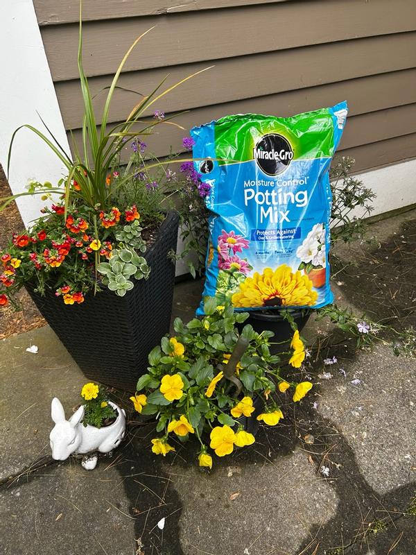 Miracle-Gro Moisture Control Potting Mix | ScottsMiracle-Gro US